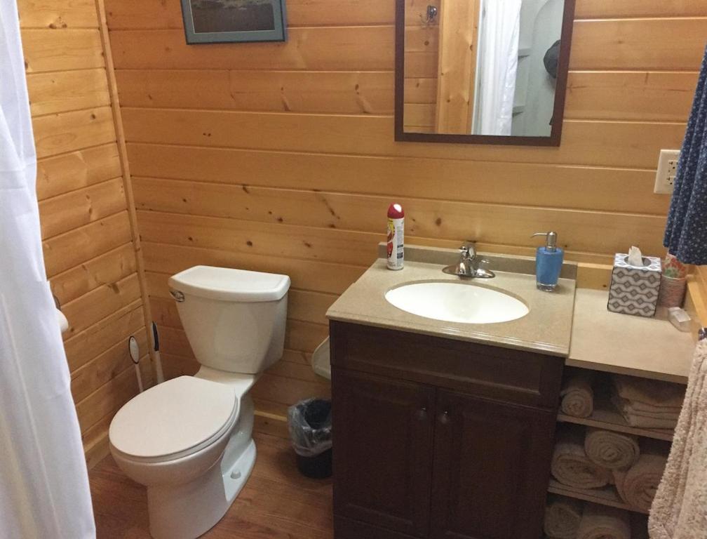 Talkeetna Lakeside Cabins Denali Ngoại thất bức ảnh