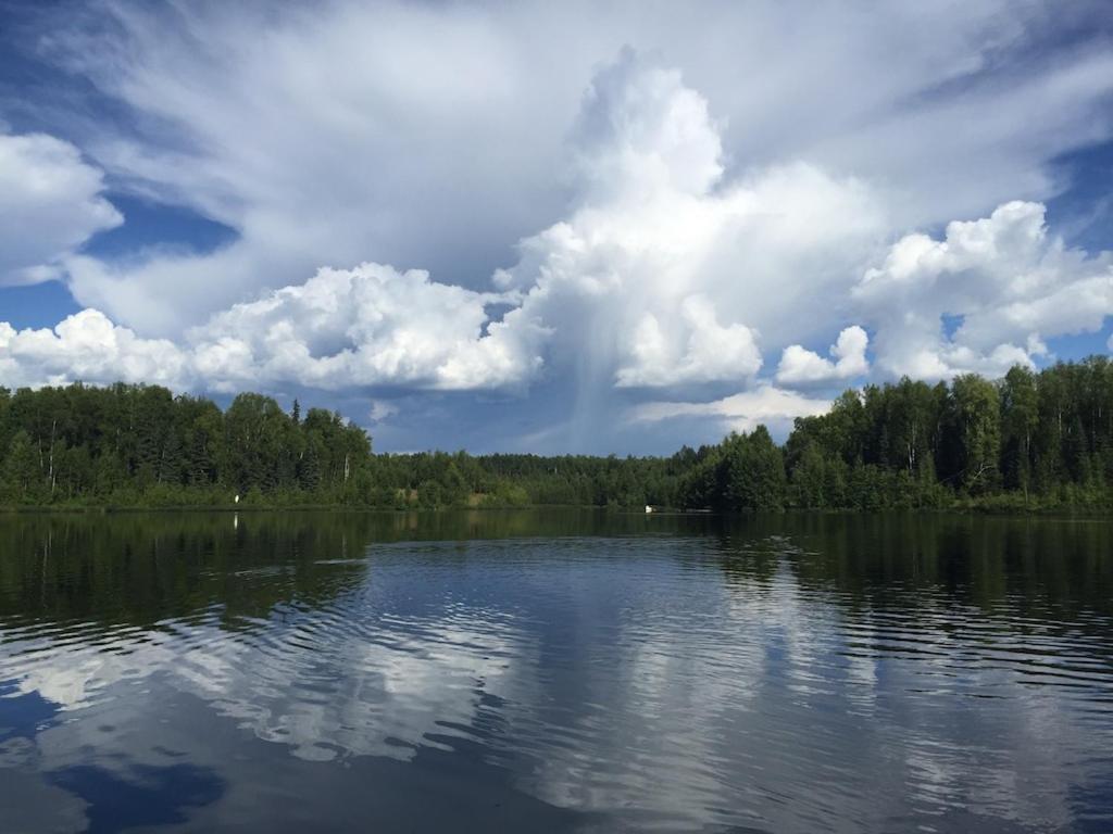 Talkeetna Lakeside Cabins Denali Ngoại thất bức ảnh
