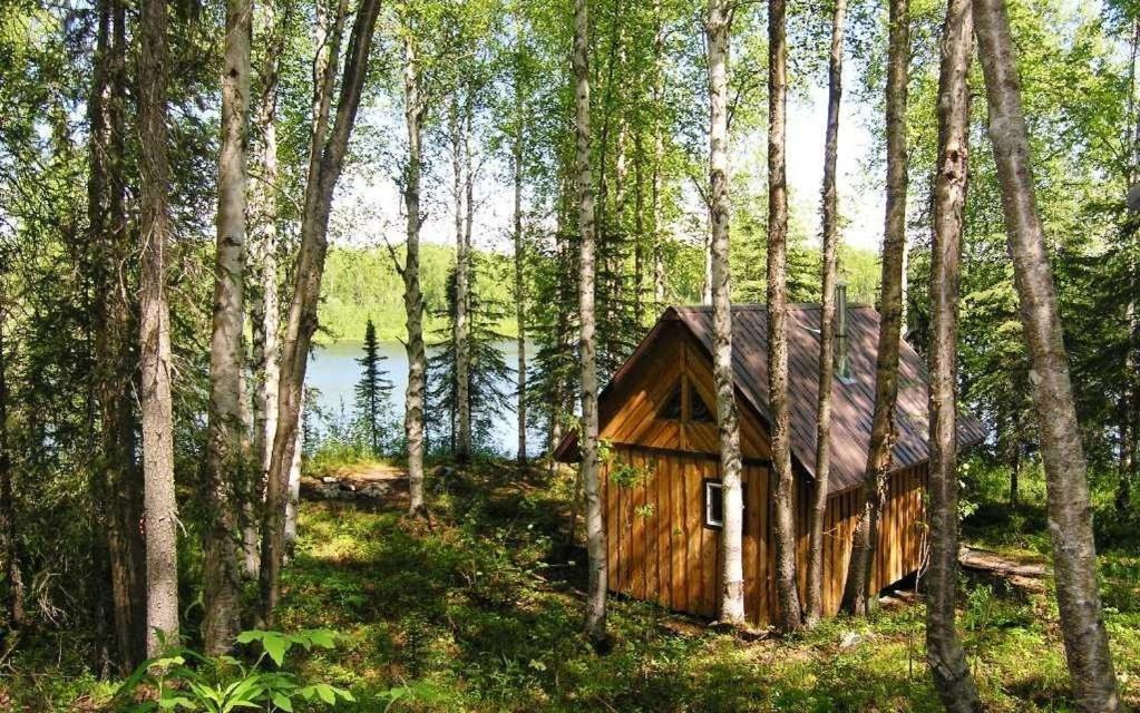 Talkeetna Lakeside Cabins Denali Ngoại thất bức ảnh