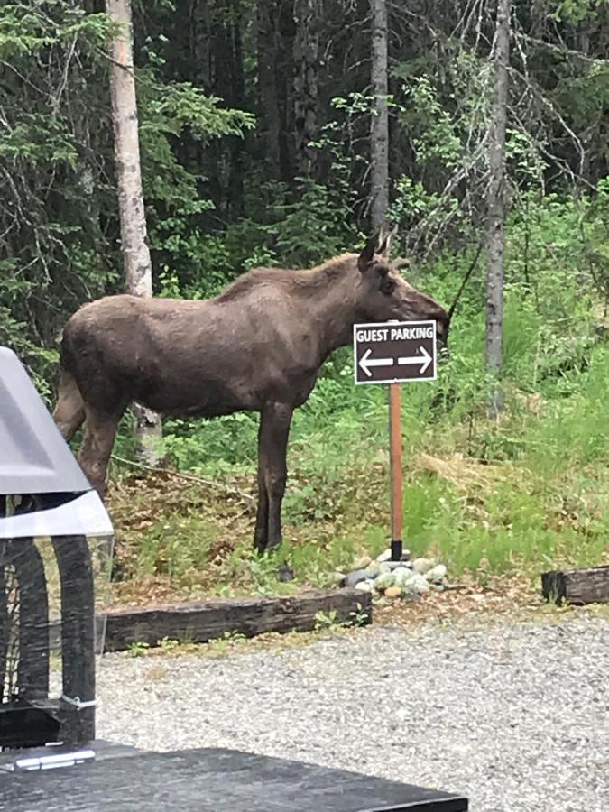 Talkeetna Lakeside Cabins Denali Ngoại thất bức ảnh